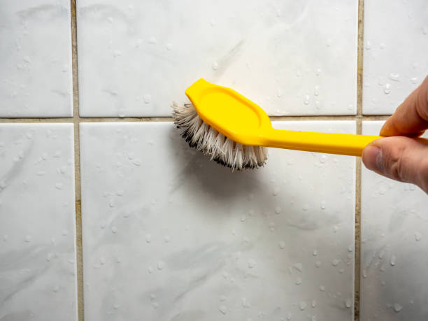 Best Professional Mold Removal  in Emory, TX